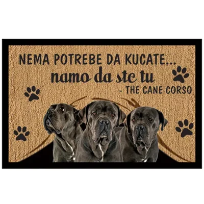 Spoljašnji otirači br.8095 se mogu brendirati po Vašoj želji. Postoji bezbroj mogućnosti za reklamu! Otirači više neće biti samo sredstvo za čišćenje obuće.