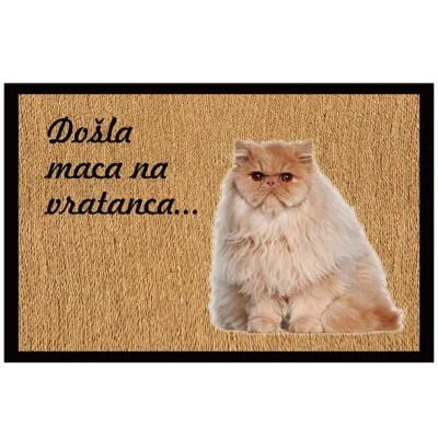 Spoljašnji otirači br.8100 se mogu brendirati po Vašoj želji. Postoji bezbroj mogućnosti za reklamu! Otirači više neće biti samo sredstvo za čišćenje obuće.