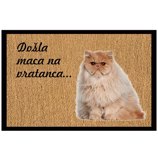 Spoljašnji otirači br.8100 se mogu brendirati po Vašoj želji. Postoji bezbroj mogućnosti za reklamu! Otirači više neće biti samo sredstvo za čišćenje obuće.
